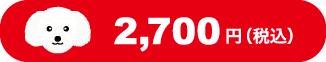迷子札 価格